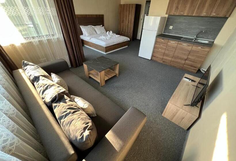 استودیو استاندارد با تخت کینگ, Rabi Park Residence