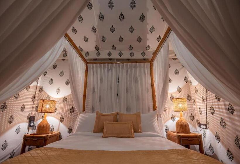 Standard Tent, Vaani Greens Resort, Kaziranga