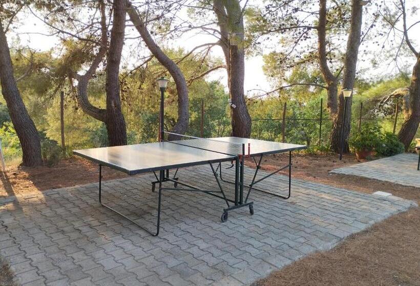 اتاق استاندارد چهارنفره با بالکن, Agriturismo Residenza Nakelia