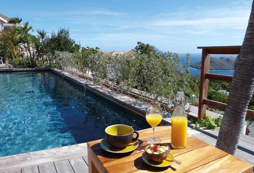 ویلای 1 خوابه با چشم‌انداز دریا, Gyp Sea Saint Barth