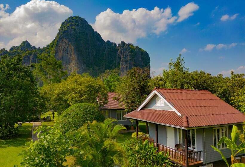 Бунгало Стандарт с Балконом, Bearlin Bungalow