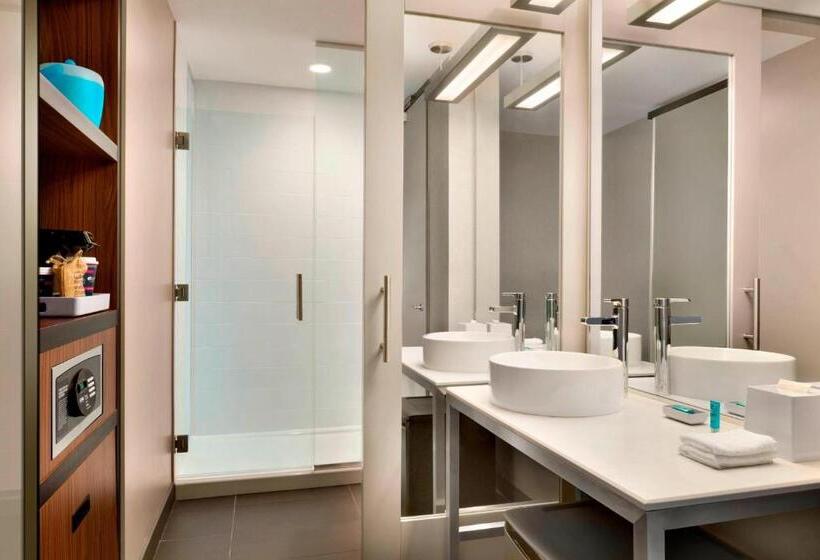 Utcára Néző Standard Szoba, Aloft Dallas Love Field