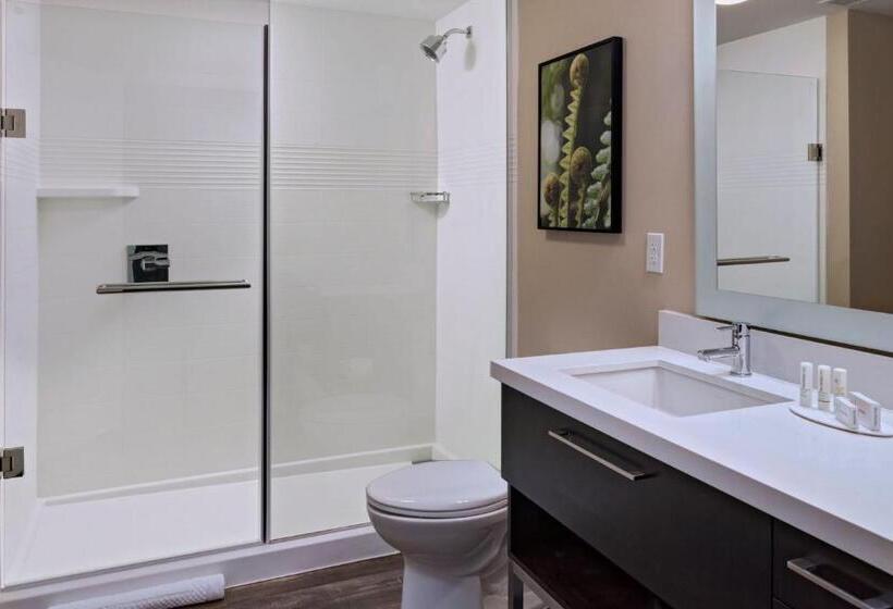 Студио Стандарт Кровать Кинг, Towneplace Suites By Marriott Tacoma Lakewood