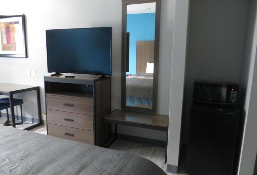 اتاق لوکس, Haven Inn & Suites Willowbrook