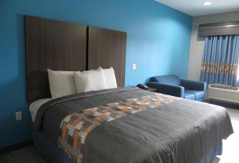 اتاق استاندارد با تخت بزرگ, Haven Inn & Suites Willowbrook