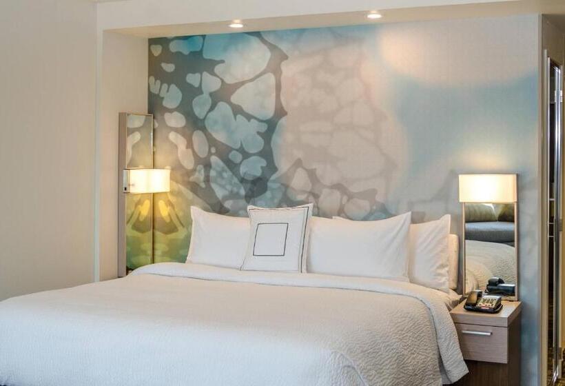 스탠다드 룸 킹사이즈 침대, Courtyard By Marriott Somerset