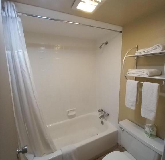 חדר דלוקס, Rodeway Inn