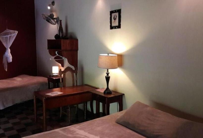 اتاق لوکس, Viavia Leon