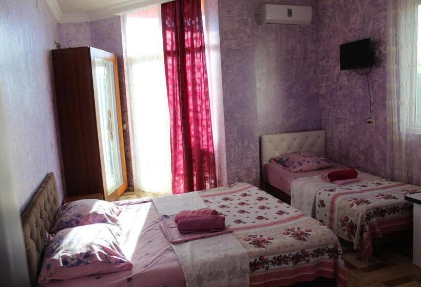 اتاق استاندارد سه نفره, Georgia