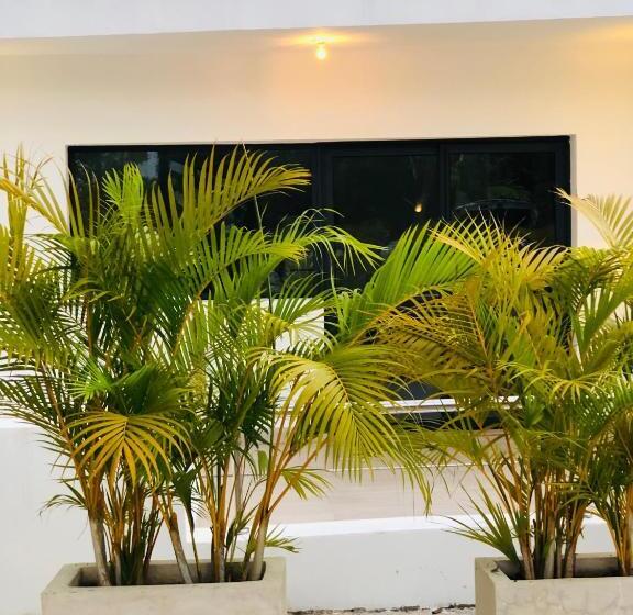 آپارتمان 1 خوابه با تراس, Sprint Terrenas
