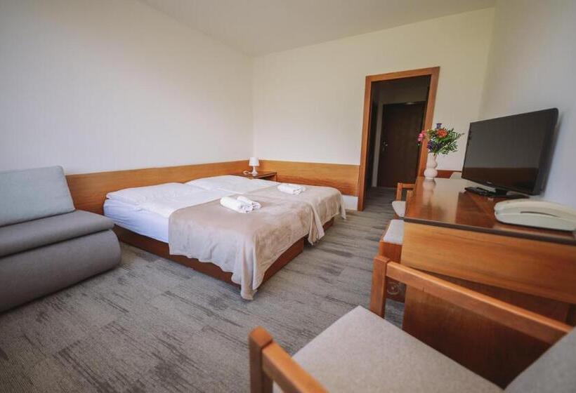 스탠다드 룸, Atlas Hotel Tatry