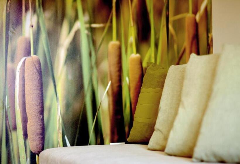 Апартаменты Deluxe 1 Спальня, Villa Oliva Boutique Rooms & Spa Zamárdi