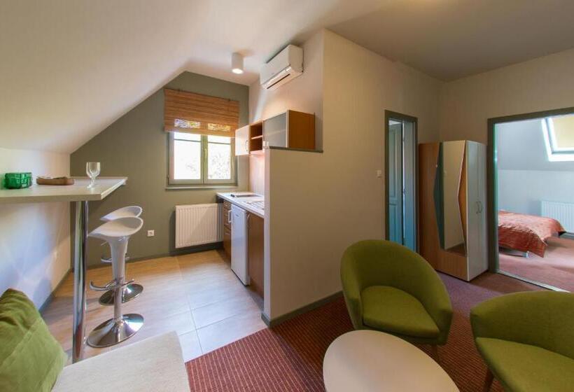 Апартаменты Deluxe 1 Спальня, Villa Oliva Boutique Rooms & Spa Zamárdi