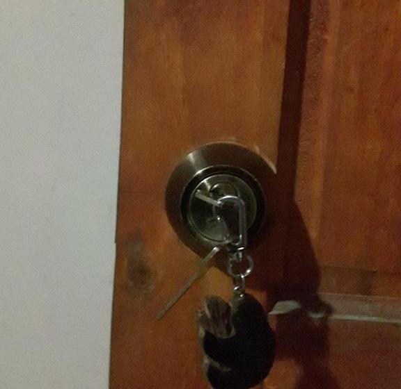 Номер Стандарт, Gecko De Tortuguero