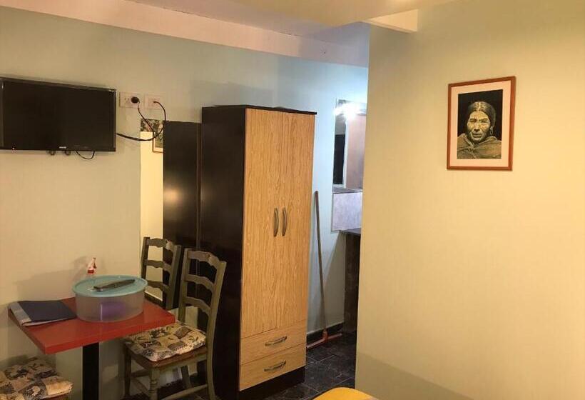 Номер Deluxe, Apart Eva Luna Departamentos Y Habitaciones Con Baño Privado