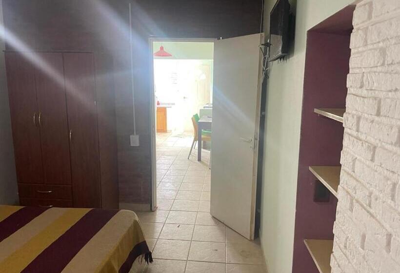 Апартаменты 1 Спальня Нижний Этаж, Apart Eva Luna Departamentos Y Habitaciones Con Baño Privado