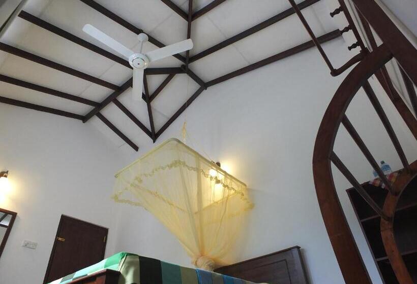 اتاق استاندارد با تراس, Emildale Villa