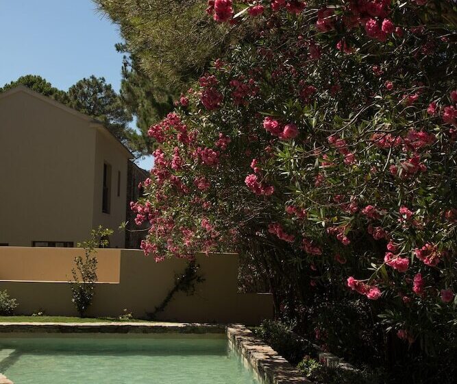 Villa 1 Chambre, Misincu