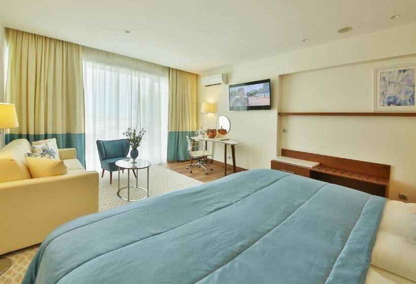 디럭스룸 공원 전망, Maritim Hotel Paradise Blue