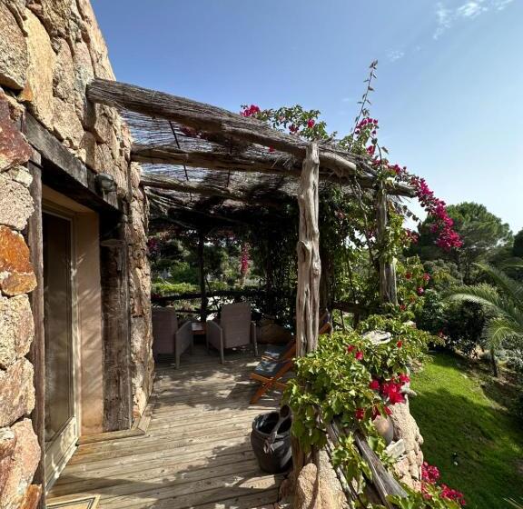 اتاق لوکس, Hôtel Ambassador Palombaggia
