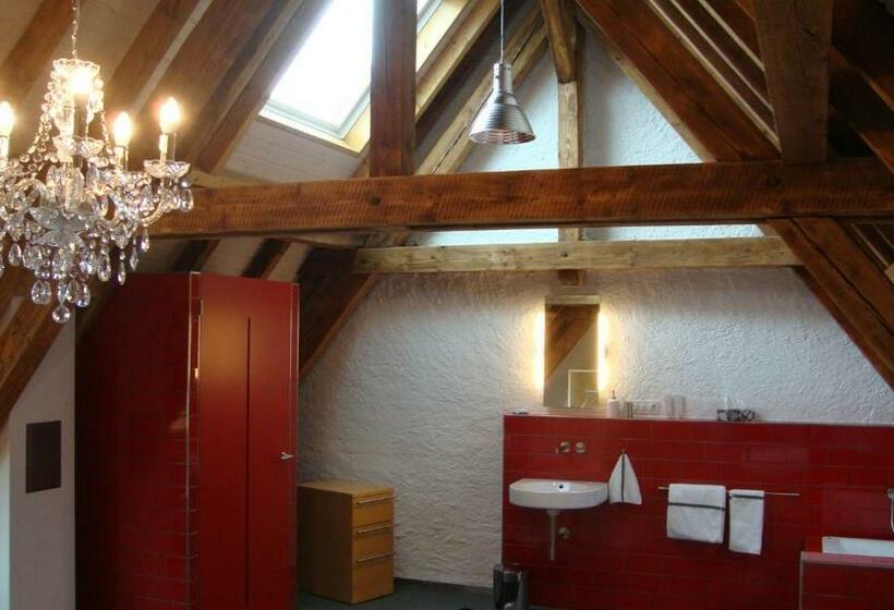 غرفة قياسية, B&b Laupenring, Basel