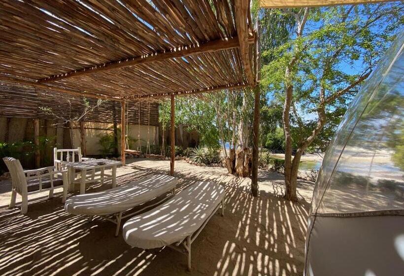 سوئیت با چشم‌انداز, Rock And Sea Resort
