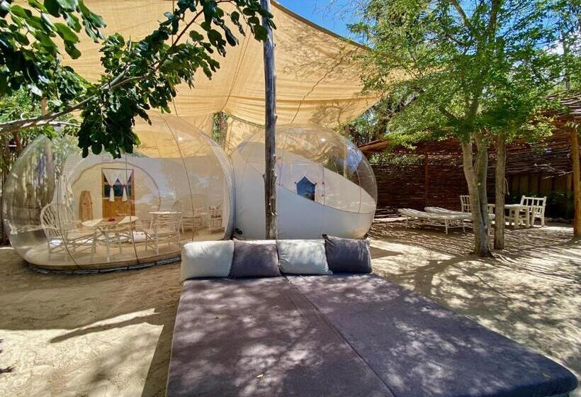 سوئیت با چشم‌انداز, Rock And Sea Resort