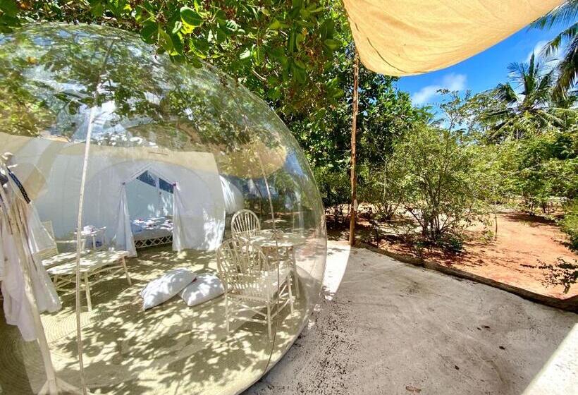 چادر با خدمات رفاهی استاندارد, Rock And Sea Resort
