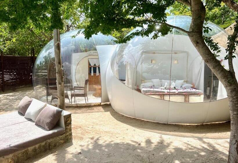 سوئیت با چشم‌انداز, Rock And Sea Resort