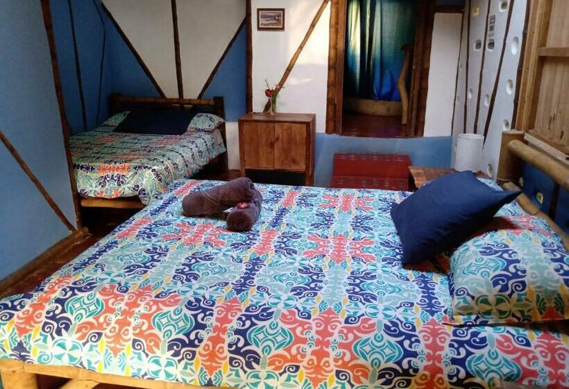 اتاق استاندارد, La Casa De Francois