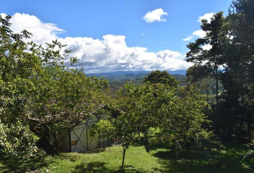 Standard Triple Room with Terrace, La Casa De Francois