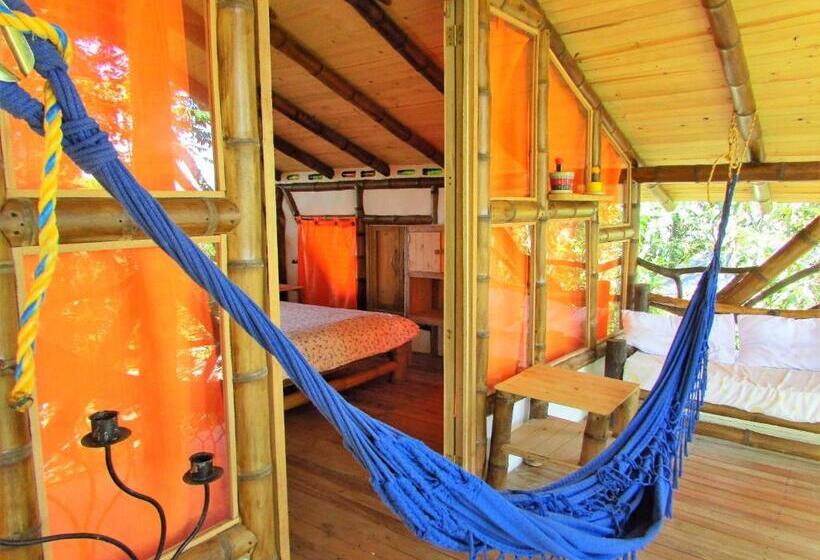 استودیو خانوادگی, La Casa De Francois