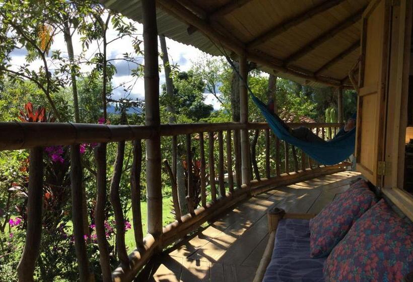 اتاق خانوادگی با سرویس بهداشتی مشترک, La Casa De Francois