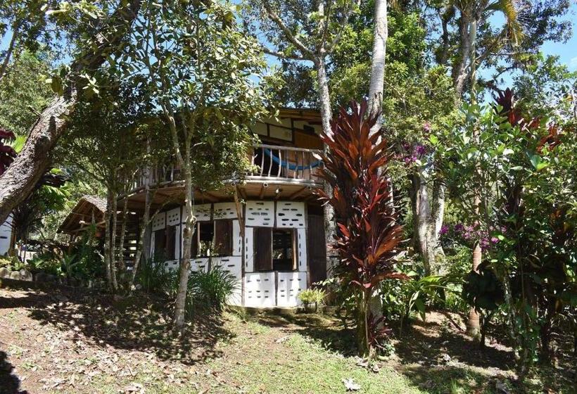 اتاق خانوادگی با سرویس بهداشتی مشترک, La Casa De Francois