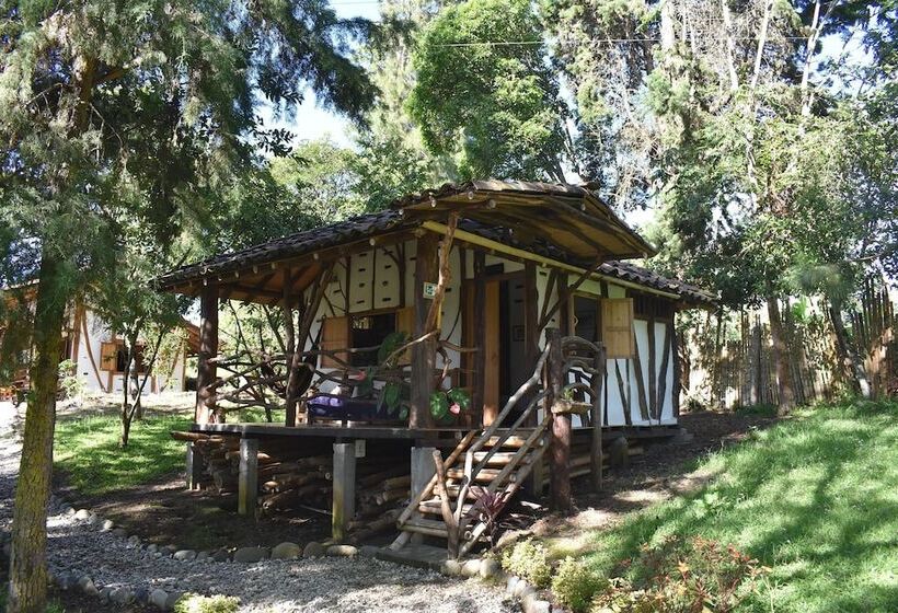 اتاق استاندارد, La Casa De Francois