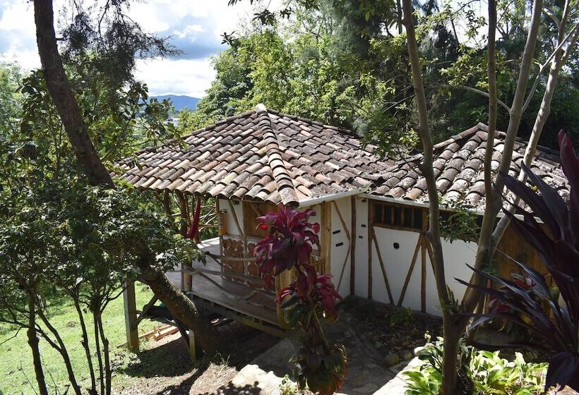 اتاق استاندارد, La Casa De Francois