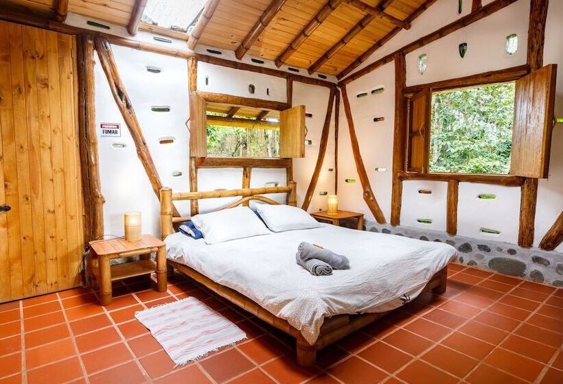 اتاق استاندارد, La Casa De Francois