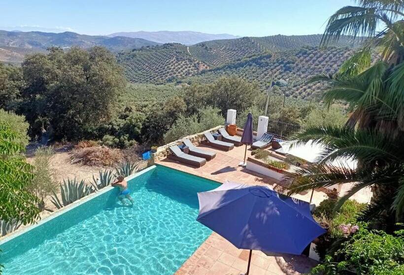 Четырехместный Номер Стандарт, Cortijo La Haza
