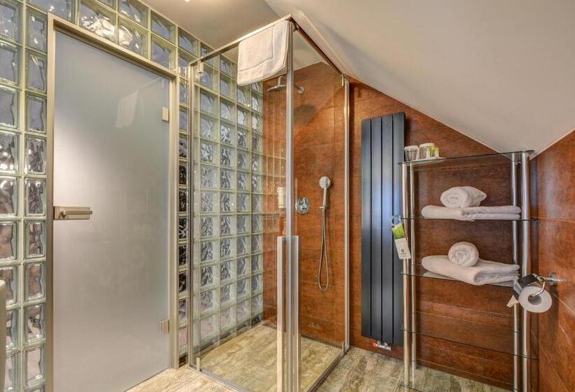 수피리어 룸, Amenity Hotel & Resort špindlerův Mlýn
