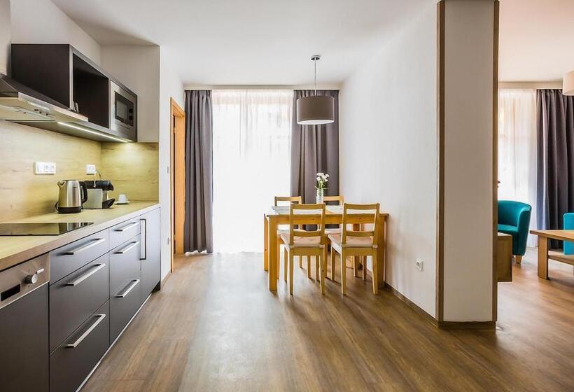 침실 1개 테라스 아파트, Amenity Hotel & Resort špindlerův Mlýn