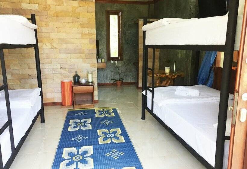 共用房间的床, Wonderland Healing Center
