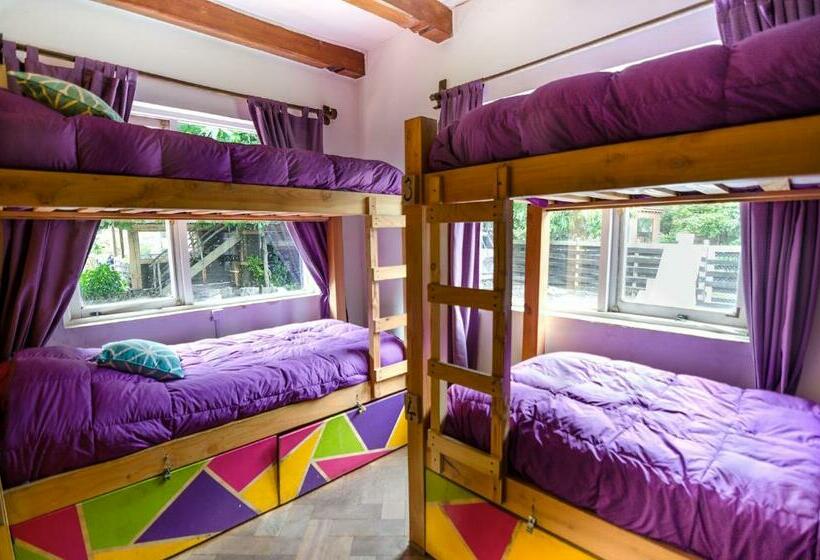 تختخواب در اتاق مشترک, Chili Kiwi Lakefront Backpackers