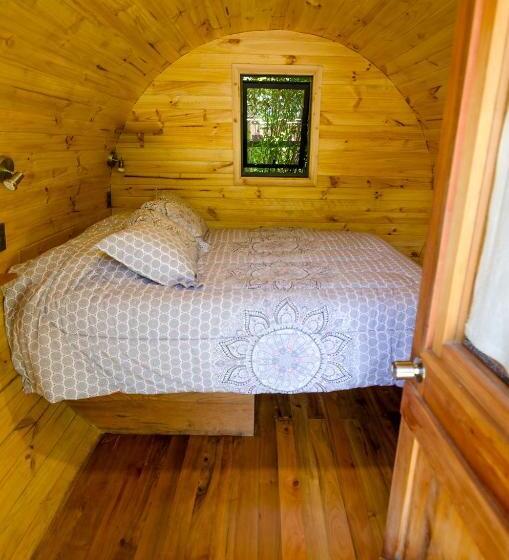 اتاق استاندارد با سرویس بهداشتی مشترک, Chili Kiwi Lakefront Backpackers