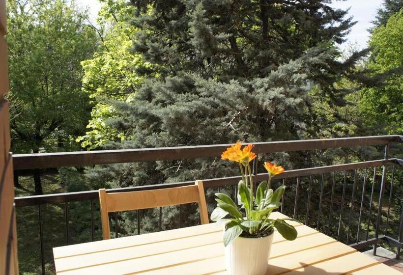 اتاق استاندارد با چشم‌انداز باغ, Lotus B&b