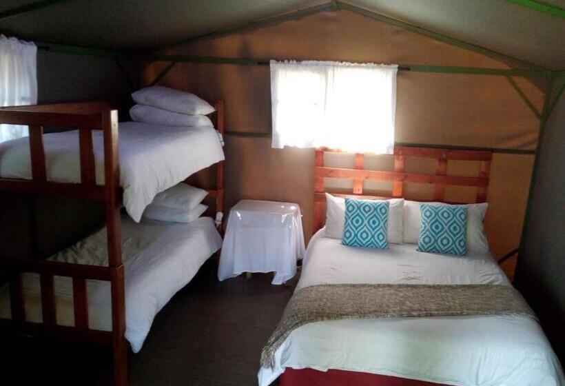 Standard Tent, Sabie River Camp
