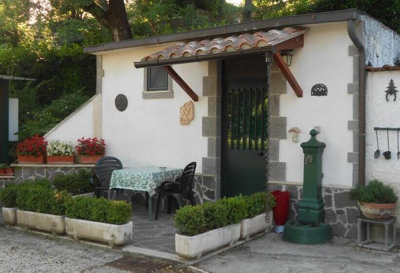 Номер Стандарт, B&b La Quercia