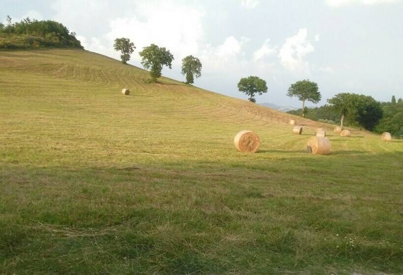 اتاق استاندارد, B&b Monticelli