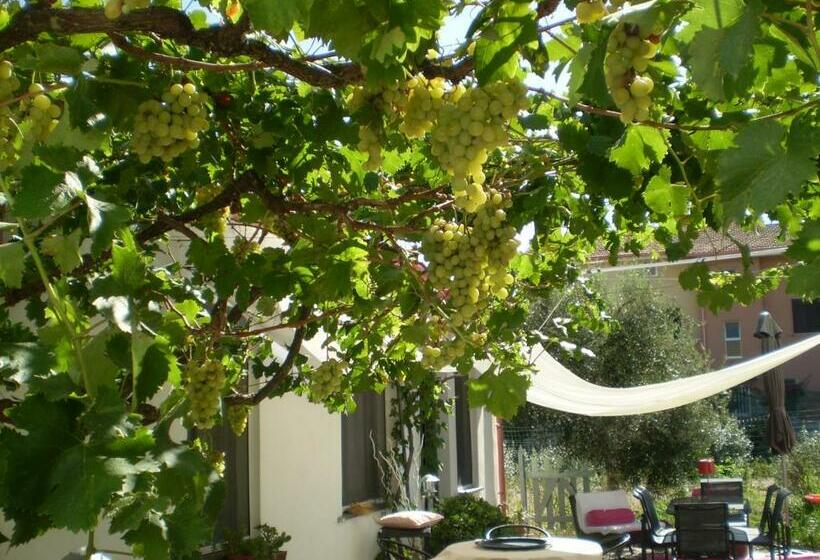标准间, Il Giardino Di Emilio