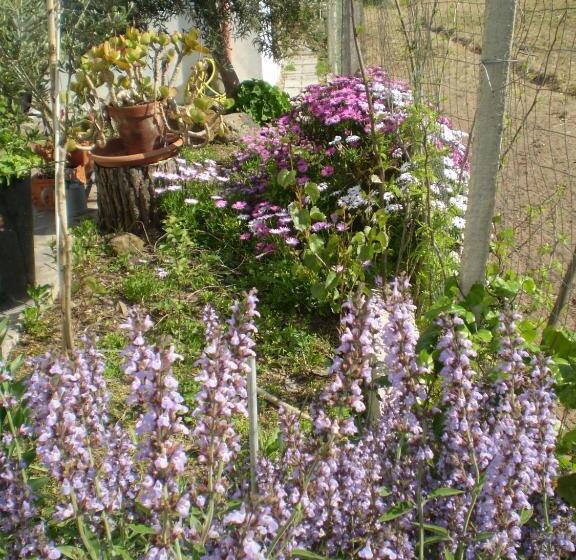 Номер Стандарт, Il Giardino Di Emilio
