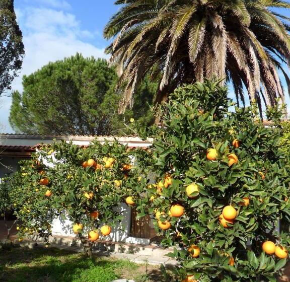 Студио Стандарт Вид на Сад, Il Giardino Di Emilio